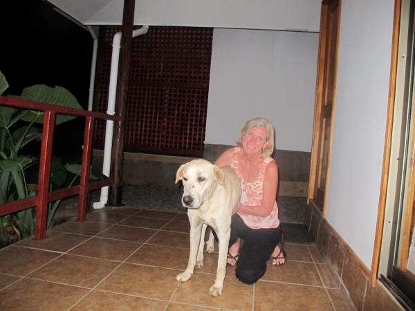 Ringo My Rapa Nui Puppy